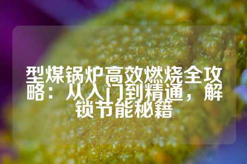 型煤锅炉高效燃烧全攻略：从入门到精通，解锁节能秘籍