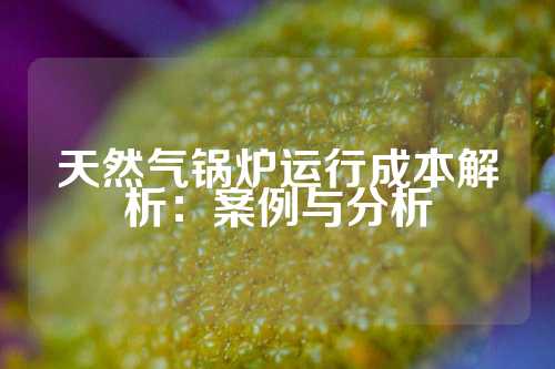 天然气锅炉运行成本解析：案例与分析