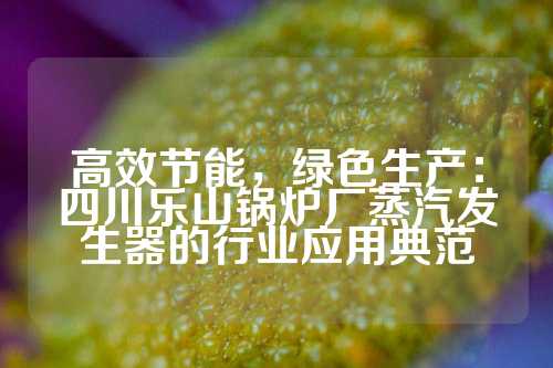 高效节能，绿色生产：四川乐山锅炉厂蒸汽发生器的行业应用典范