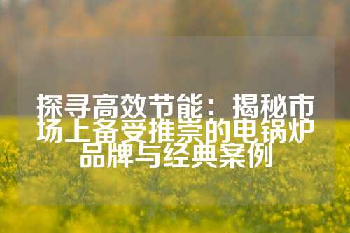 探寻高效节能：揭秘市场上备受推崇的电锅炉品牌与经典案例