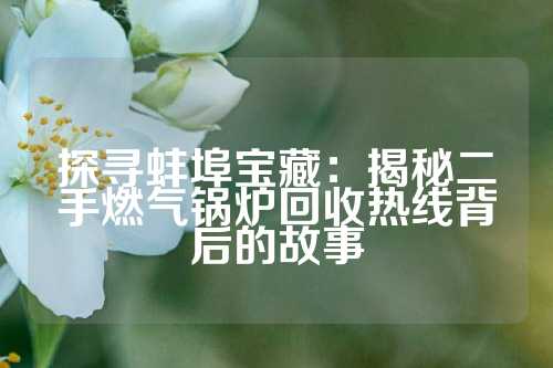探寻蚌埠宝藏：揭秘二手燃气锅炉回收热线背后的故事