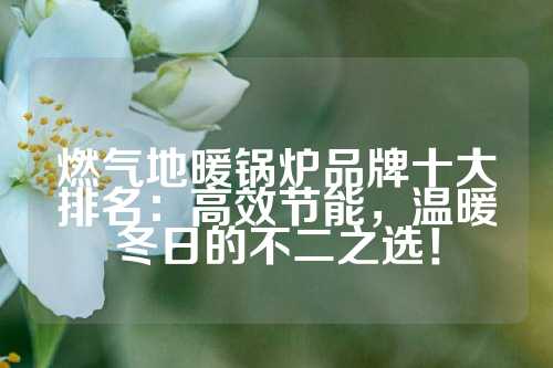 燃气地暖锅炉品牌十大排名：高效节能，温暖冬日的不二之选！