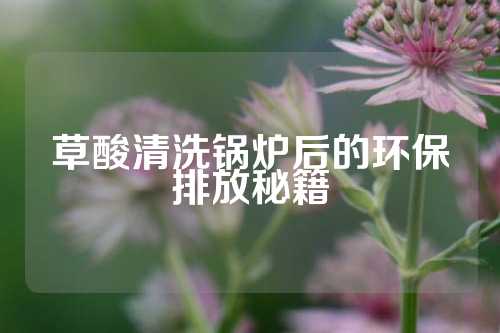 草酸清洗锅炉后的环保排放秘籍