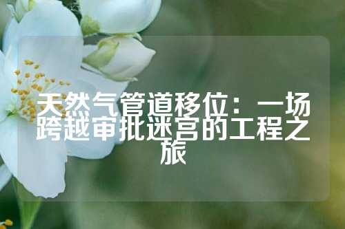 天然气管道移位：一场跨越审批迷宫的工程之旅