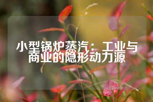 小型锅炉蒸汽：工业与商业的隐形动力源