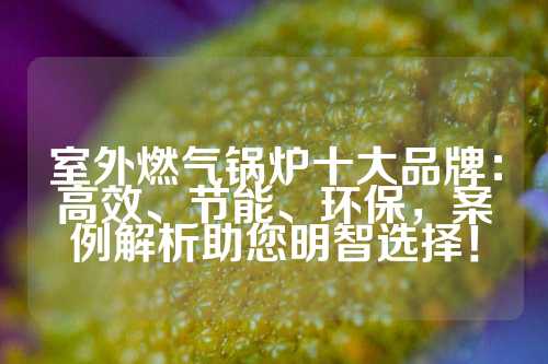 室外燃气锅炉十大品牌：高效、节能、环保，案例解析助您明智选择！