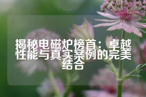 揭秘电磁炉榜首：卓越性能与真实案例的完美结合