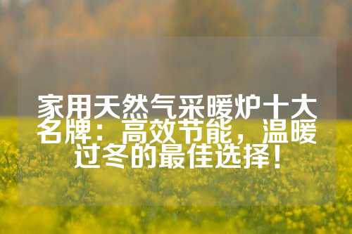 家用天然气采暖炉十大名牌：高效节能，温暖过冬的最佳选择！
