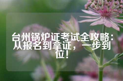台州锅炉证考试全攻略：从报名到拿证，一步到位！
