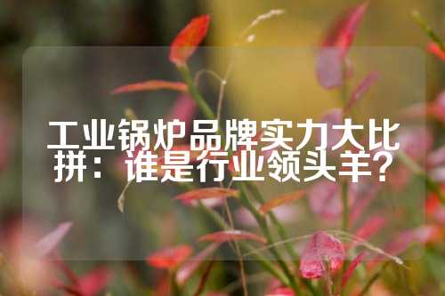 工业锅炉品牌实力大比拼：谁是行业领头羊？