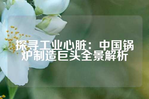 探寻工业心脏：中国锅炉制造巨头全景解析