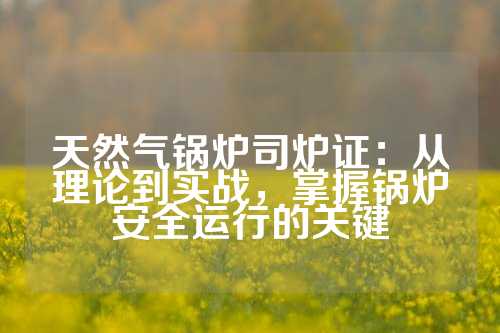 天然气锅炉司炉证：从理论到实战，掌握锅炉安全运行的关键