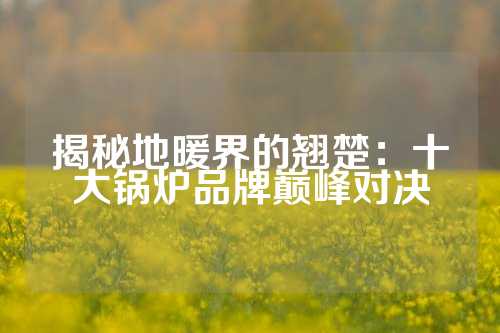 揭秘地暖界的翘楚：十大锅炉品牌巅峰对决