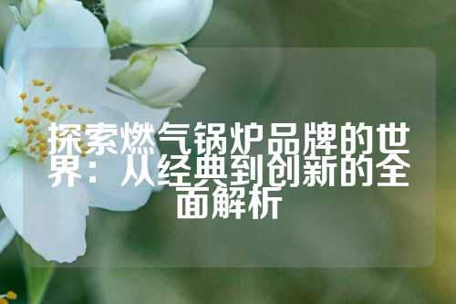 探索燃气锅炉品牌的世界:从经典到创新的全面解析