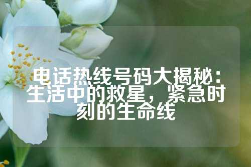 电话热线号码大揭秘：生活中的救星，紧急时刻的生命线