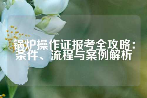 锅炉操作证报考全攻略：条件、流程与案例解析