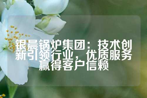 银晨锅炉集团：技术创新引领行业，优质服务赢得客户信赖