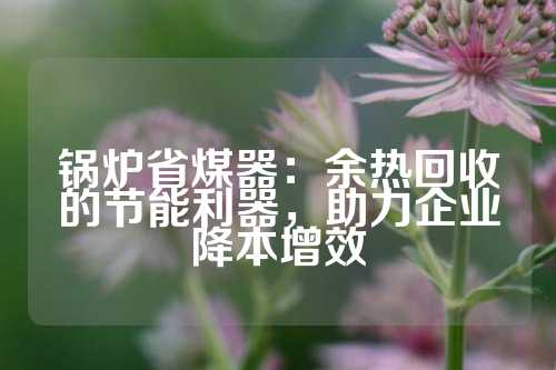 锅炉省煤器：余热回收的节能利器，助力企业降本增效