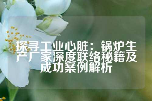 探寻工业心脏：锅炉生产厂家深度联络秘籍及成功案例解析