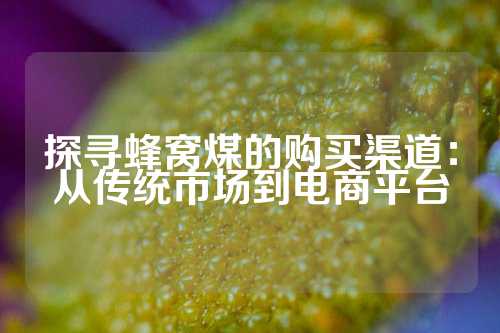 探寻蜂窝煤的购买渠道：从传统市场到电商平台