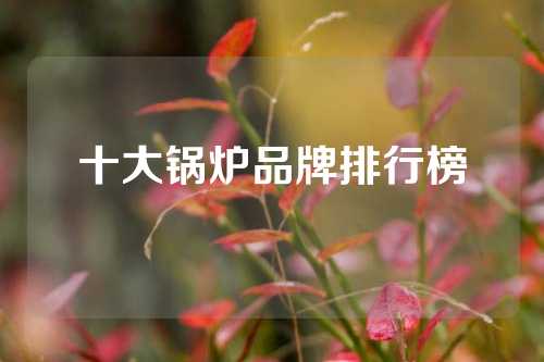 十大锅炉品牌排行榜